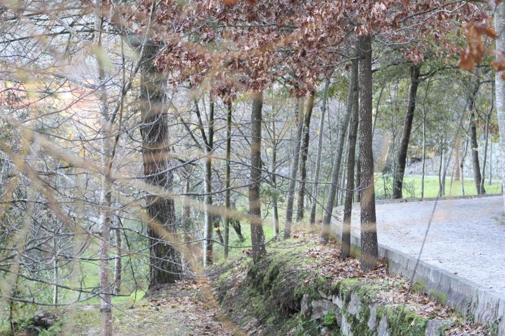 Quinta De Santa Cruz Otel Canelas  Dış mekan fotoğraf